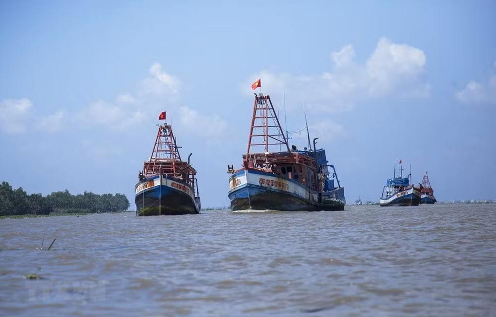 Le Vietnam et le Japon co-président un atelier sur la connaissance du domaine maritime ảnh 1