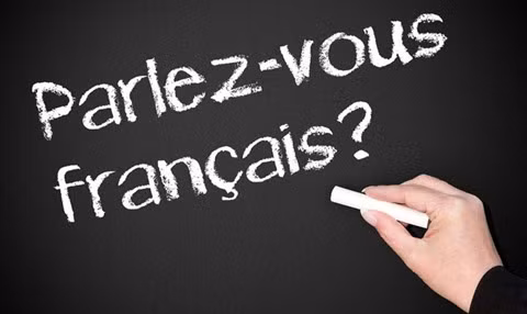 Efforts conjugués pour favoriser l’enseignement du/en français ảnh 2
