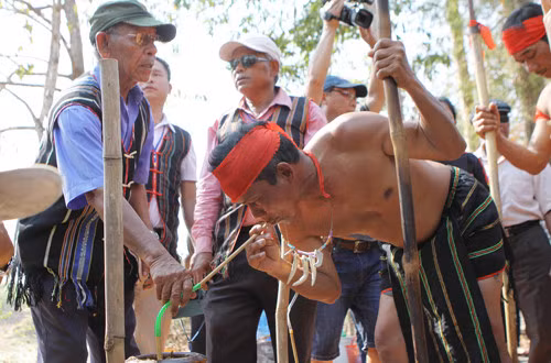 Les éléphants chez les M’Nong ảnh 2