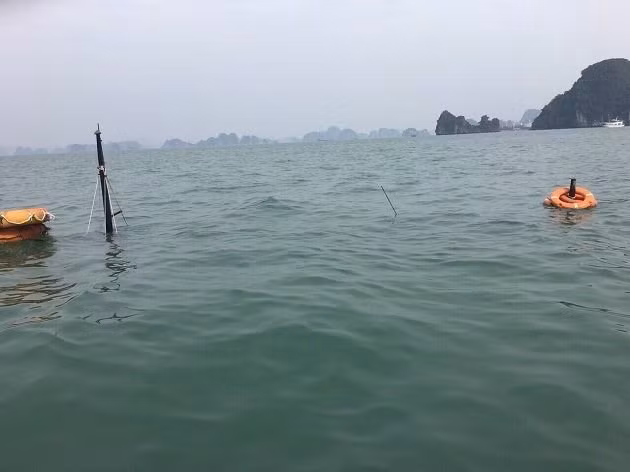 Un bateau coule à Quang Ninh, 31 touristes chinois sauvés ảnh 1