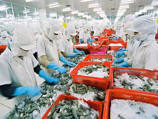 Vingt-cinq produits d'exportation répertoriées dans le club « un milliard de dollars » ảnh 1