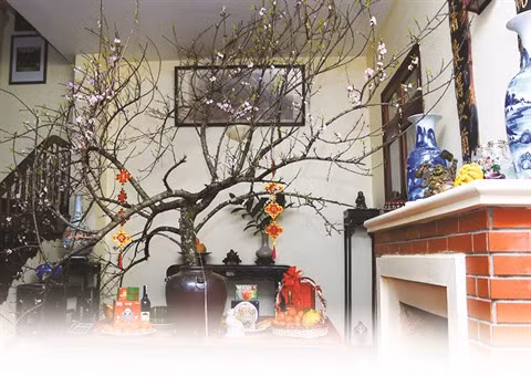 Des fleurs et plantes pour accueillir le printemps en beauté ảnh 2