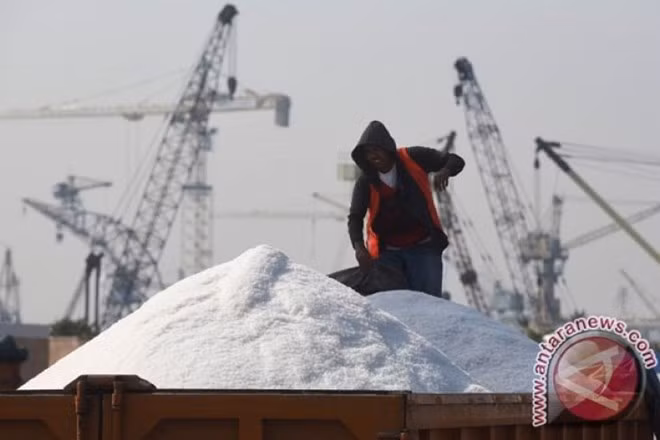 L'Indonésie étudie la possibilité de suspendre l'importation de sel en 2020 ảnh 1