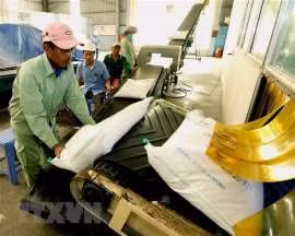 Le Vietnam au 4e rang de l'indice de sécurité alimentaire en Asie du Sud-Est ảnh 1