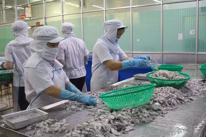 Les exportateurs vietnamiens des produits aquatiques ciblent les restaurants et les hôtels chinois ảnh 1