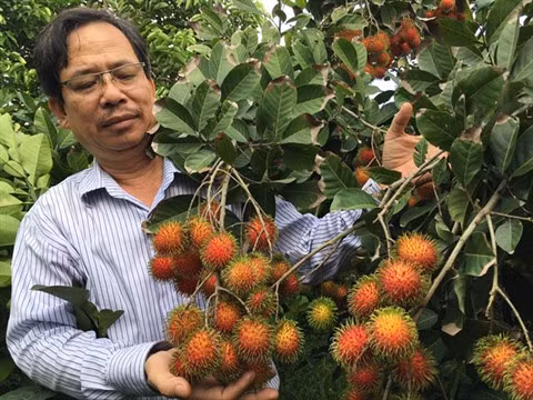 Nouvelle tendance du secteur cosmétique : opportunités pour le ramboutan du Vietnam ảnh 1