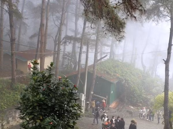 Vinh Phuc favorise l'exploitation du tourisme rural ảnh 1