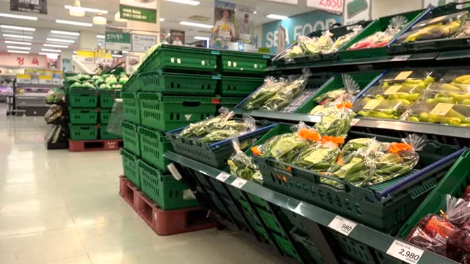La République de Corée cherche à pénétrer le marché agricole de l'ASEAN ảnh 1 La République de Corée cherche à pénétrer le marché agricole de l'ASEAN ảnh 1