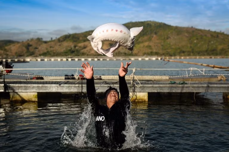 Développer l’élevage des esturgeons au Vietnam ảnh 1