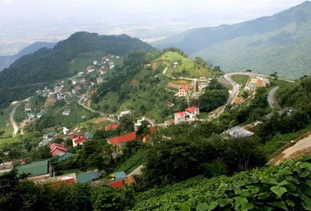 Vinh Phuc s'efforce de stimuler l'industrie du tourisme dans le district de Tam Dao ảnh 1