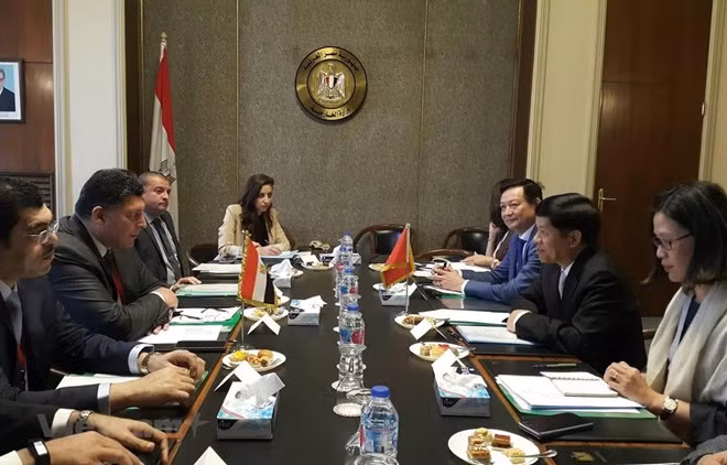 L'Egypte veut développer des relations avec le Vietnam ảnh 1