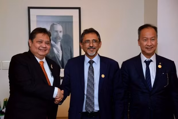 L'Indonésie et l'Afrique du Sud recherchent des opportunités de coopération ảnh 1