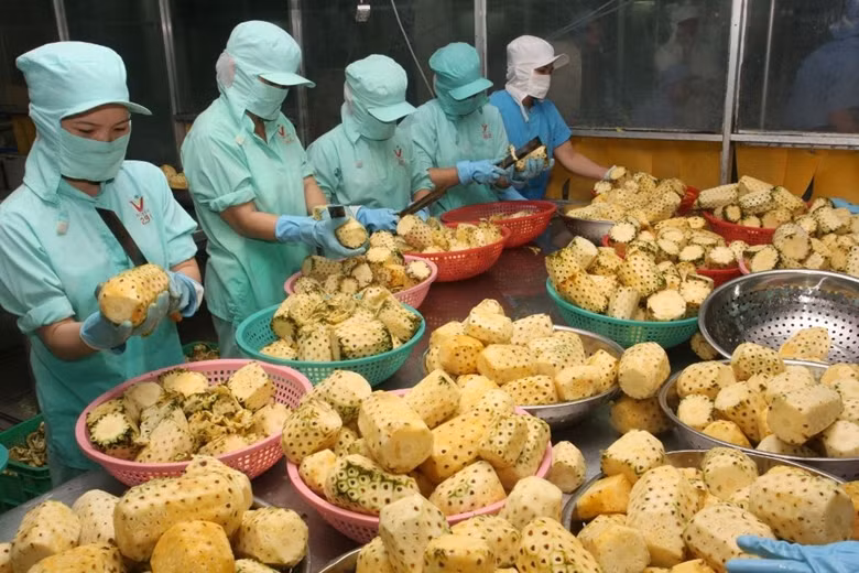 Plus de 35,6 milliards d’USD d’exportations vers la Chine ảnh 1 Plus de 35,6 milliards d’USD d’exportations vers la Chine ảnh 1