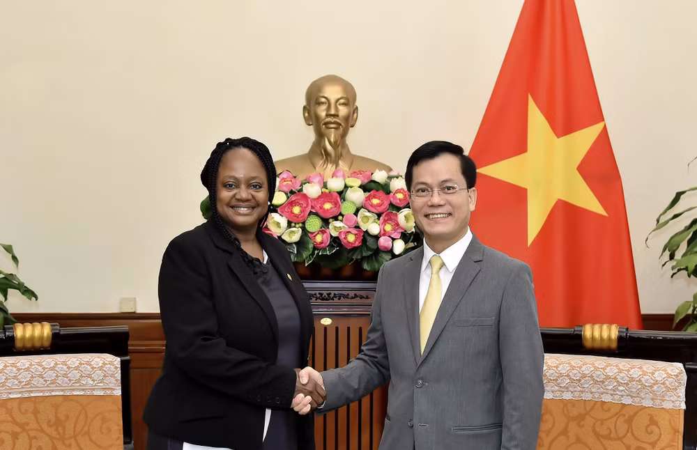 Le Vietnam souhaite approfondir son partenariat intégral avec les États-Unis ảnh 1