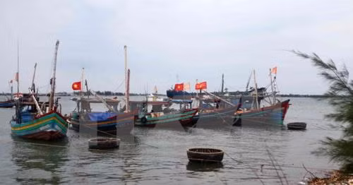 La vie de la population du Ha Tinh s’améliore de plus en plus après l’incident de Formosa ảnh 1