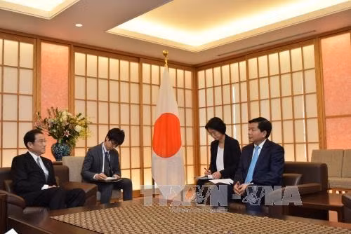 Une délégation de haut rang de Ho Chi Minh-Ville en visite au Japon ảnh 1
