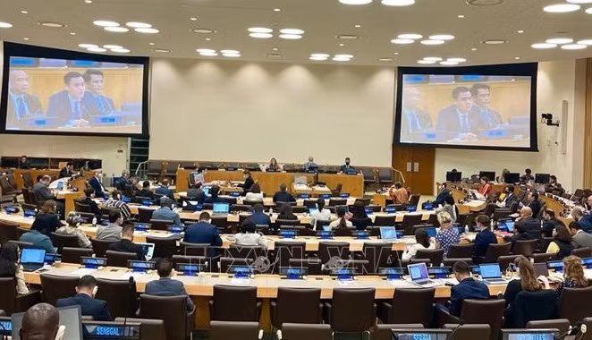 Le Vietnam affirme la liberté de navigation et de survol en Mer Orientale ảnh 1