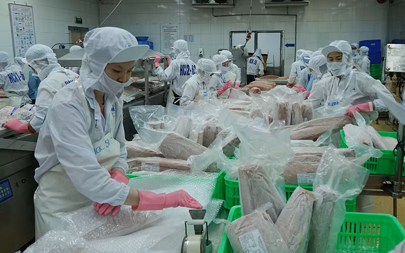 Les exportations de produits aquatiques en forte hausse au 1er trimestre ảnh 1