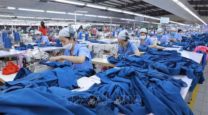 Hanoï compte plus de 20.000 nouvelles entreprises en huit mois ảnh 1