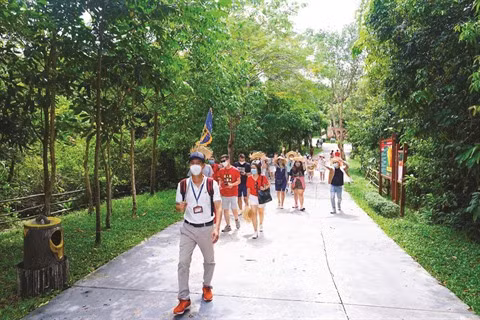 Saigontourist, principal artisan du "vif rebond" du tourisme ảnh 1