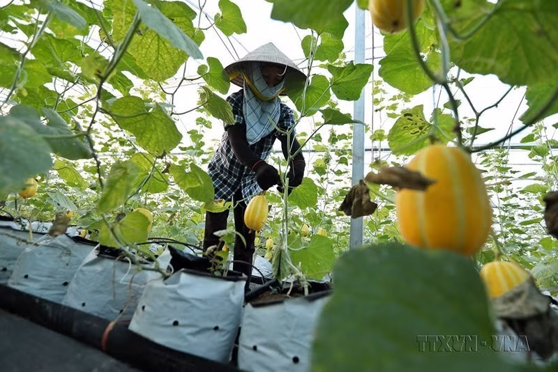 Bac Giang prend des mesures pour son développement socio-économique ảnh 2