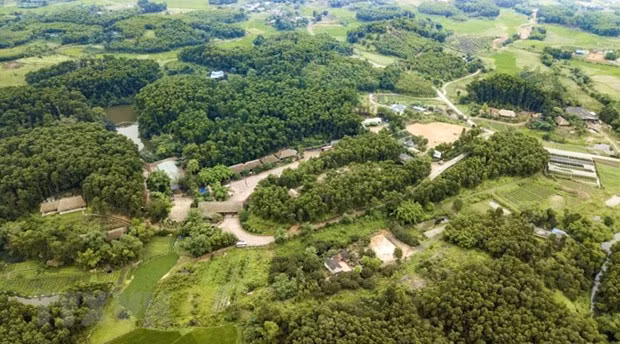 Londres s'engage à soutenir Hanoï dans la mise en œuvre de ses engagements pris lors de la COP26 ảnh 2