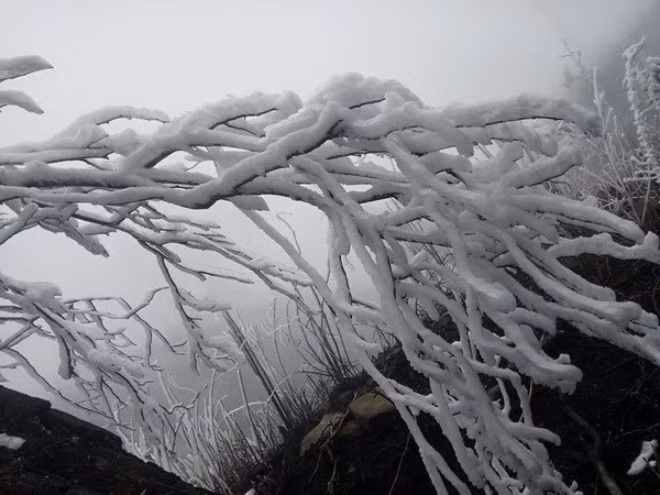 Une nouvelle vague de froid vif frappera le Nord à partir du 17 janvier ảnh 1