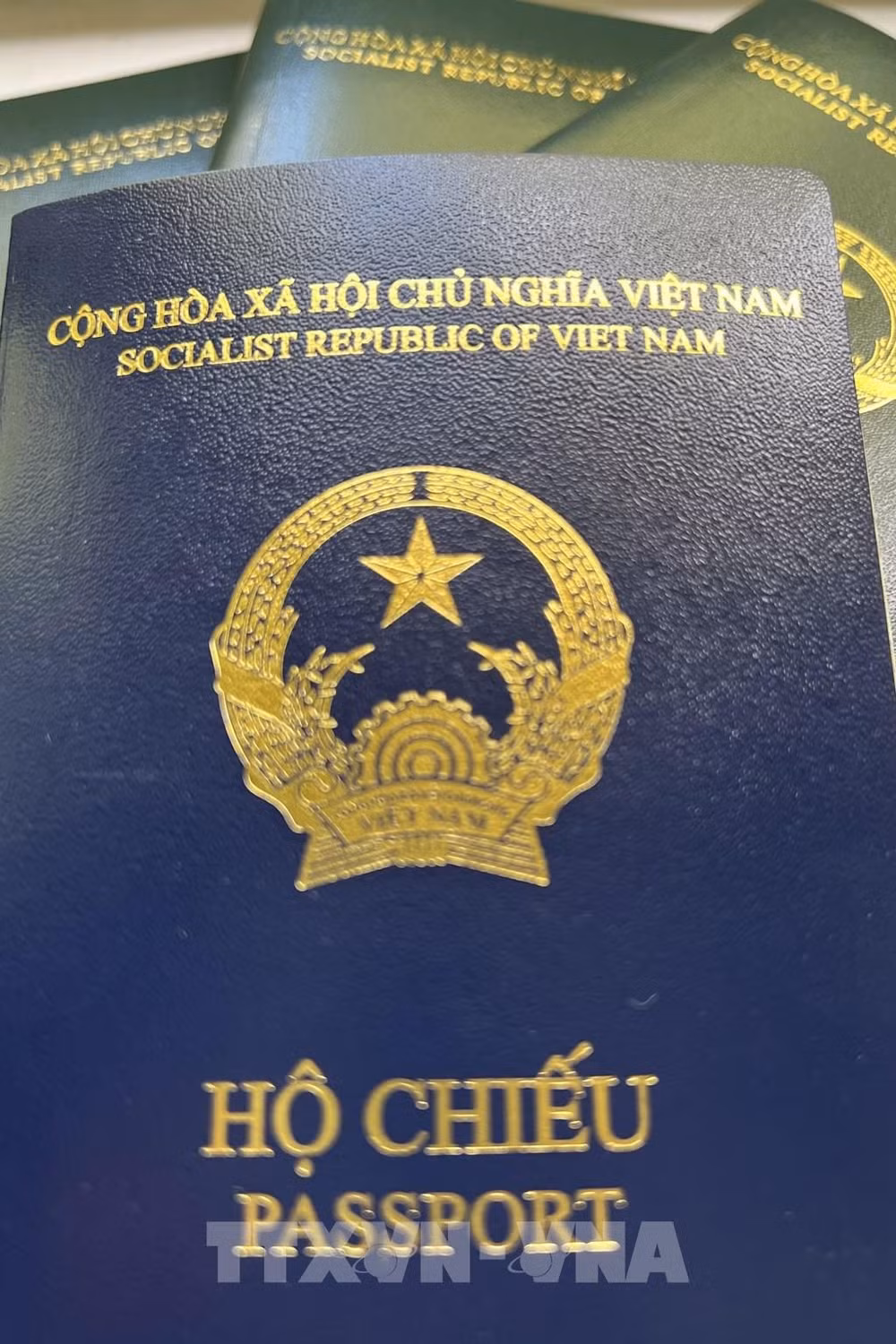 Passeport : le Vietnam discute avec l’Allemagne pour assurer les intérêts des citoyens ảnh 2