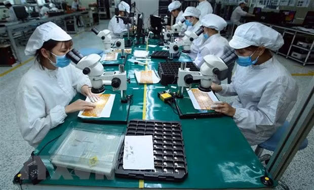 Les accords de libre-échange continuent d’être l’un des moteurs de la croissance ảnh 1