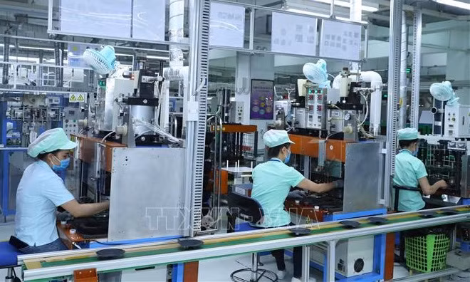Le nombre d’entreprises grimpe, celui d’organes administratifs se replie ảnh 2