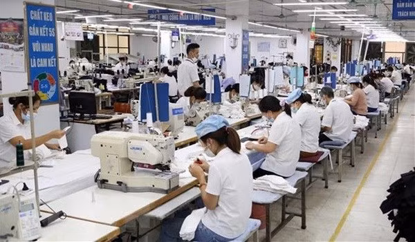 Le marché du travail de Hô Chi Minh-Ville s’adapte avec flexibilité à l’épidémie ảnh 1