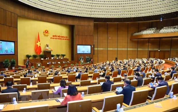 L’Assemblée nationale examine les volets du programme de relance ảnh 1