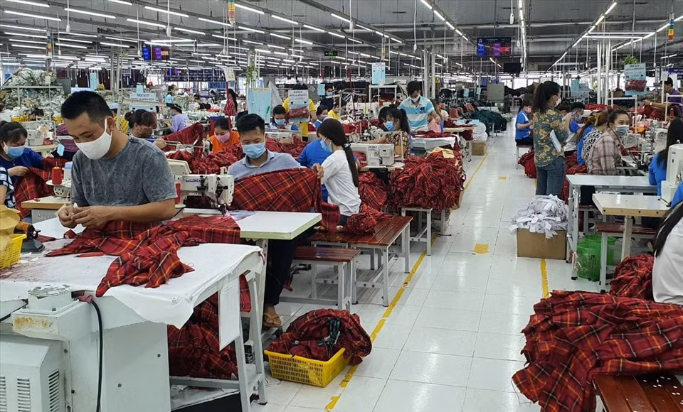 Bac Lieu soutient les entreprises dans la formation des travailleurs locaux ảnh 1