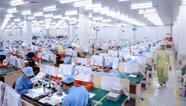 Le marché du travail se redresse progressivement de la crise du nouveau coronavirus ảnh 1