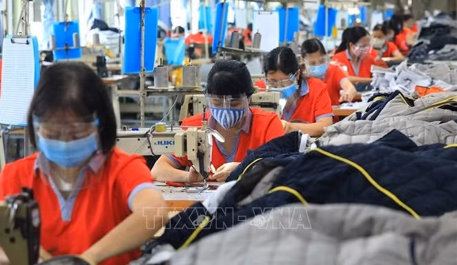 Les syndicats s’intéressent à l’assistance des travailleurs pendant le Têt ảnh 1