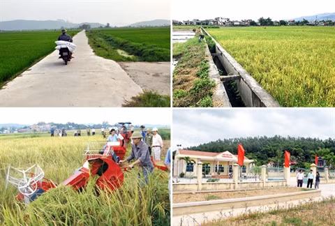 La région rurale de Quang Ninh fait peau neuve ảnh 1