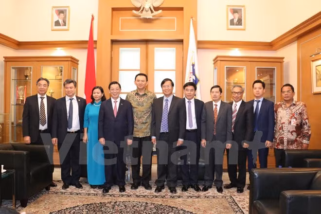 Hanoi - Jakarta : coopération pour un développement prospère ảnh 1