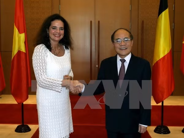 La présidente du Sénat belge termine sa visite officielle au Vietnam ảnh 1