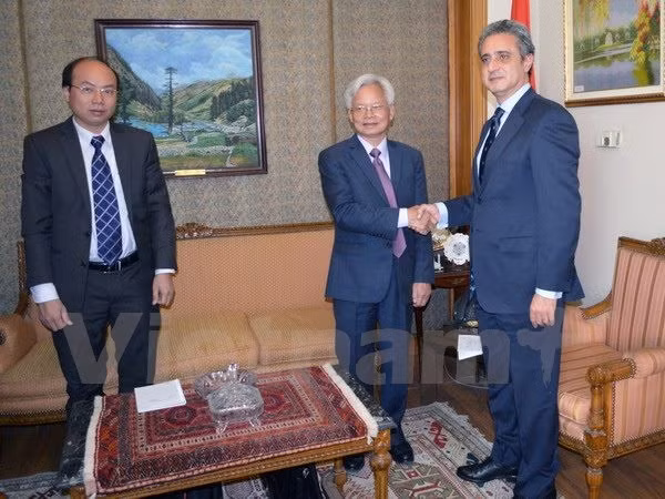 Vietnam et Egypte coopèrent dans l'étude de politiques ảnh 1