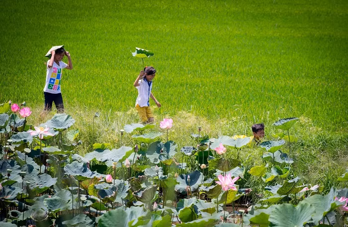 Vietnam - Pays-Bas : coopération entre la province de Dông Tháp et la ville d’Emmen ảnh 1
