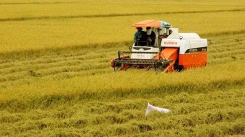 Le delta du Mékong accueillera une nouvelle vague d'investissement japonais ảnh 1