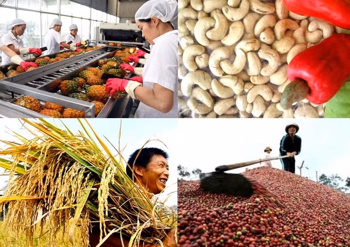 Agriculture : excédent commercial de plus de 7,9 milliards de dollars en dix mois ảnh 1