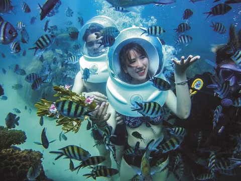 La Réserve marine de Phu Quôc, un paradis sous-marin ảnh 2