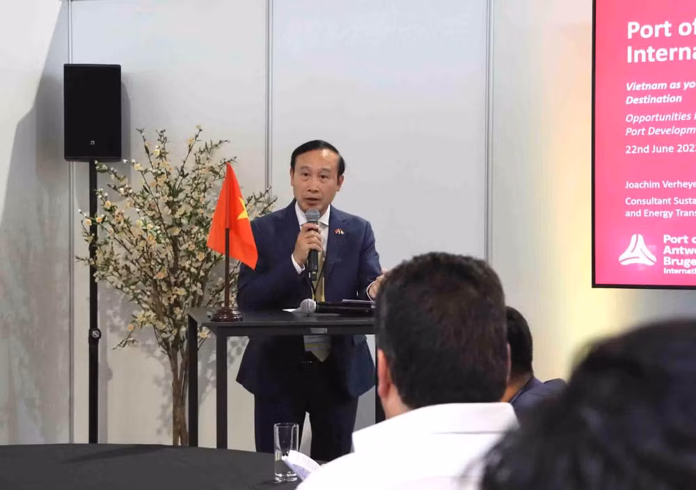 Le Vietnam, une « destination verte" des investisseurs belges ảnh 2