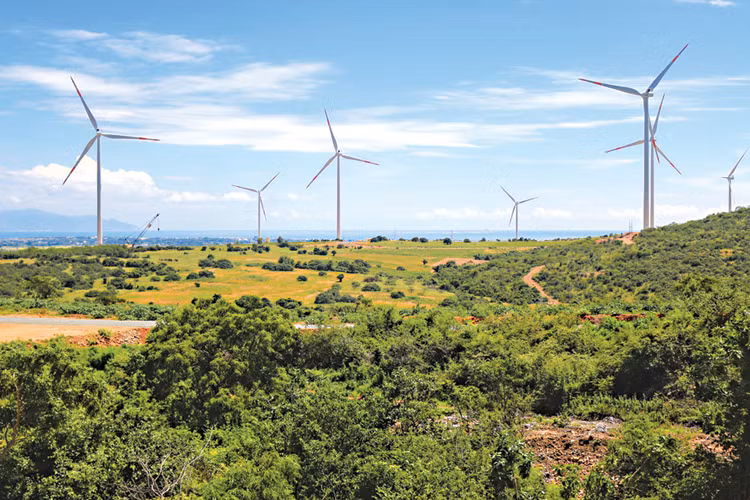 Le Vietnam, une « destination verte" des investisseurs belges ảnh 3