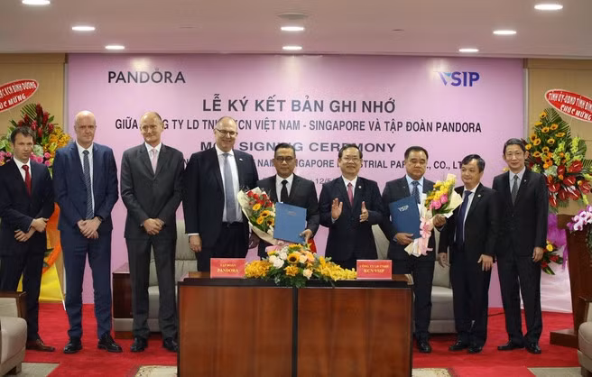 Vague d'investissements verts au Vietnam ảnh 1