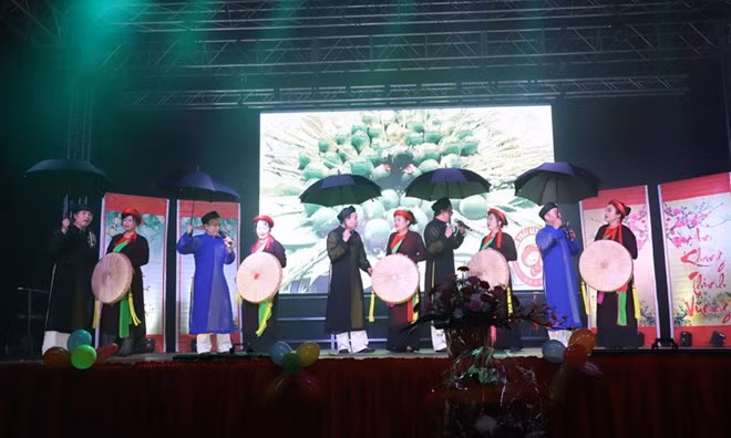 La communauté des Vietnamiens en Allemagne et en Malaisie fête le Têt 2018 ảnh 1