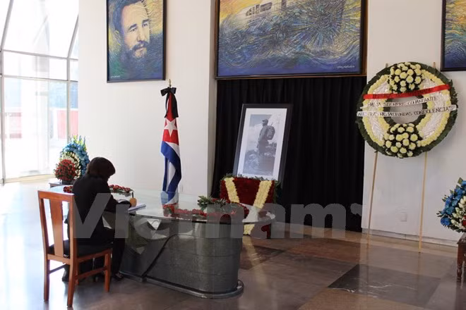 Des Vietnamiens au Mexique rendent un hommage au leader cubain Fidel Castro ảnh 1