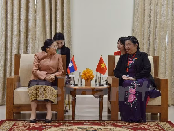 La vice-présidente de l’AN Tong Thi Phong rencontre la présidente de l’AN du Laos ảnh 1