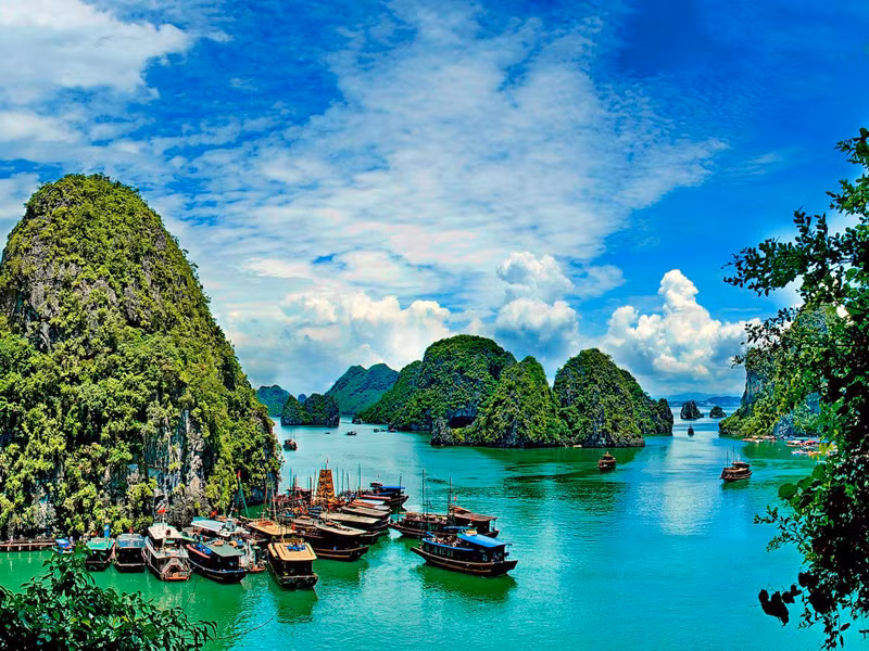 Le Vietnam dans le top 20 des destinations attrayantes pour les jeunes ảnh 1